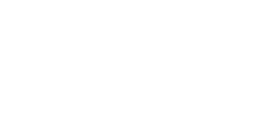 Data Fox_web